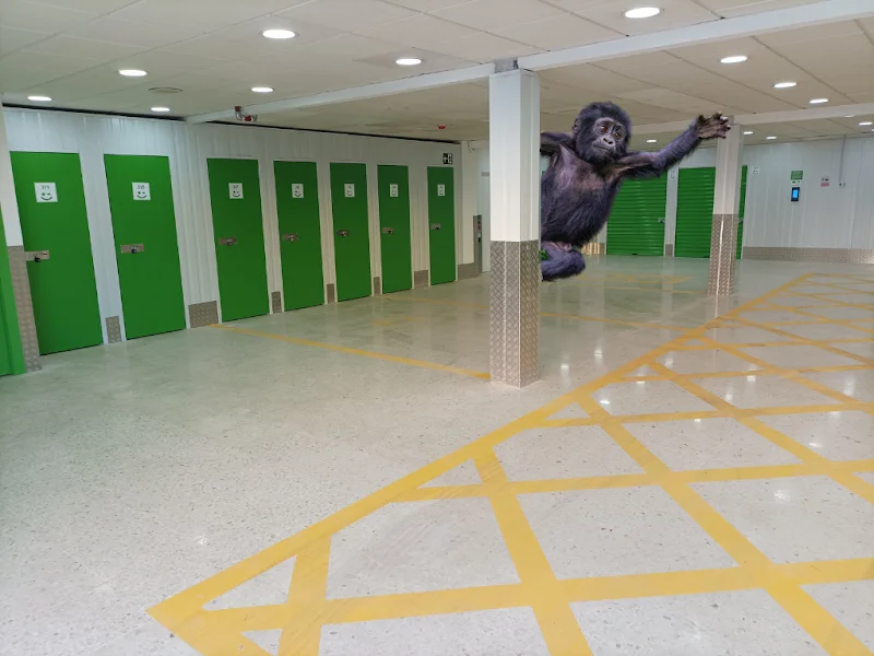 Trasteros Plus Los Vegas en Av. de los Vegas, 20, Cruz de Humilladero, 29006 Málaga, España - Imagen 3