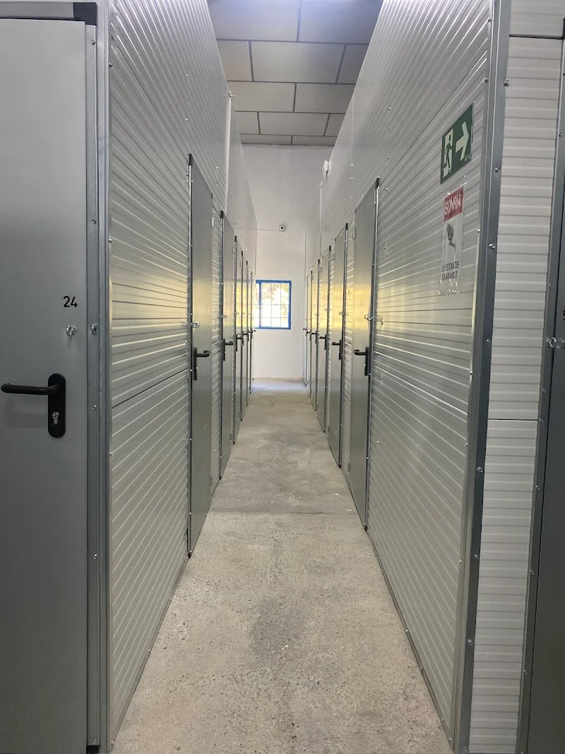 TRASTEROS DAN en C. Lágrima, 9, Cdad. Jardín, 29014 Málaga, España - Imagen 2