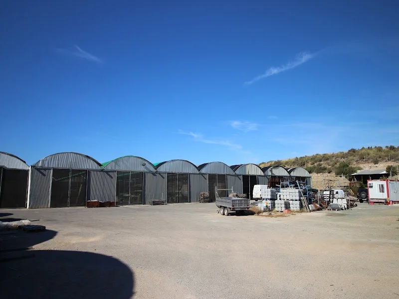 TRASTEROS - SELF-STORAGES MAZARRON en CARRETERA, 30860 Los Lorentes, Murcia, España - Imagen 2