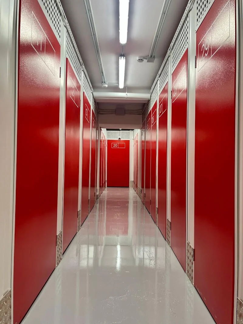 Palmatrasteros.com en Carrer de Vicenç Joan i Rosselló, 43, Ponent, 07013 Palma, Illes Balears, España - Imagen 4