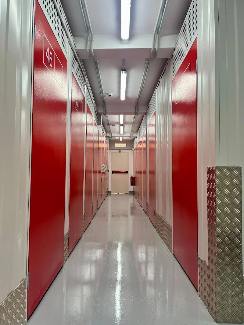 Palmatrasteros.com en Carrer de Vicenç Joan i Rosselló, 43, Ponent, 07013 Palma, Illes Balears, España - Imagen 5