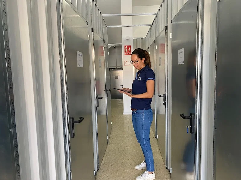 Mudanzas Gesapro Las Palmas en Ctra. de los Tarahales, 41, 35013 Las Palmas de Gran Canaria, Las Palmas, España - Imagen 5