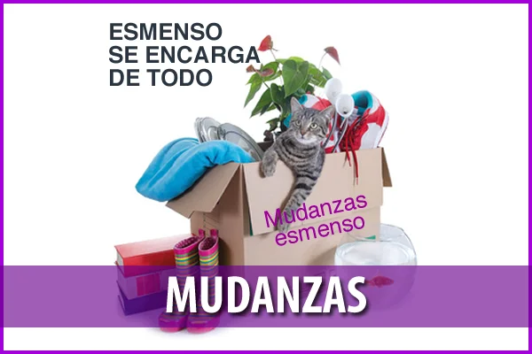 Mudanzas ESMENSO Las Palmas y Alquiler de Guardamuebles y Transporte de Obras de Arte en C. Arinaga, 8, 35010 Las Palmas de Gran Canaria, Las Palmas, España - Imagen 3