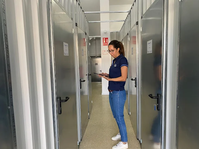 Mudanzas Gesapro Las Palmas en C. Pamochamoso, 51, 35004 Las Palmas de Gran Canaria, Las Palmas, España - Imagen 5