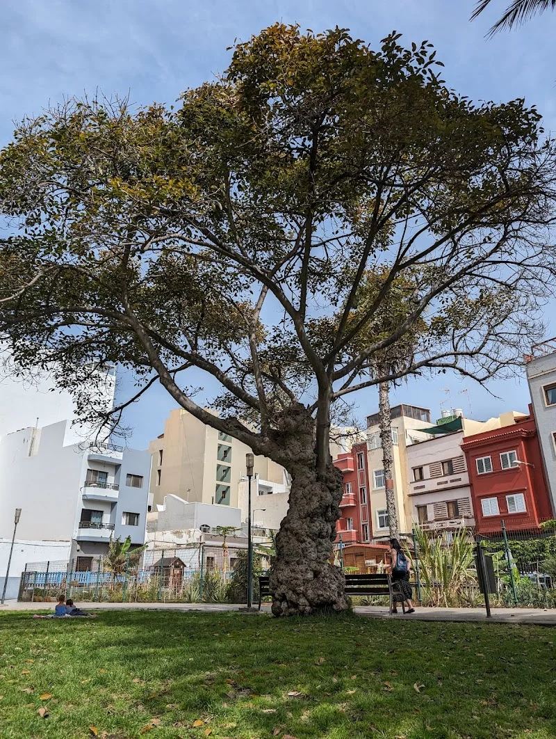 Mudanzas Duparcq en C. Kant, 11, 35010 Las Palmas de Gran Canaria, Las Palmas, España - Imagen 4