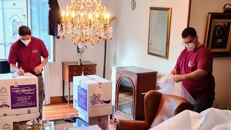 Mudanzas Carlos Rodriguez en Correos Kalea, 8, 48920 Portugalete, Bizkaia, España - Imagen 3