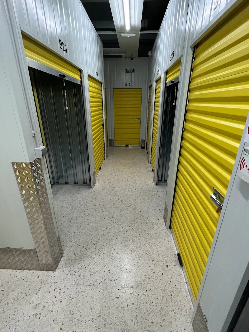 Trasteros Vigo - Alquiler de Trasteros en Centro de Vigo , Camelias en Rúa Menéndez Pelayo, 32, 36211 Vigo, Pontevedra, España - Imagen 2