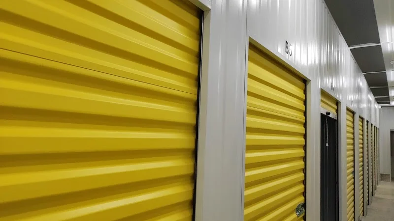 Trasteros Vigo - Alquiler de Trasteros en Centro de Vigo , Camelias en Rúa Menéndez Pelayo, 32, 36211 Vigo, Pontevedra, España - Imagen 4