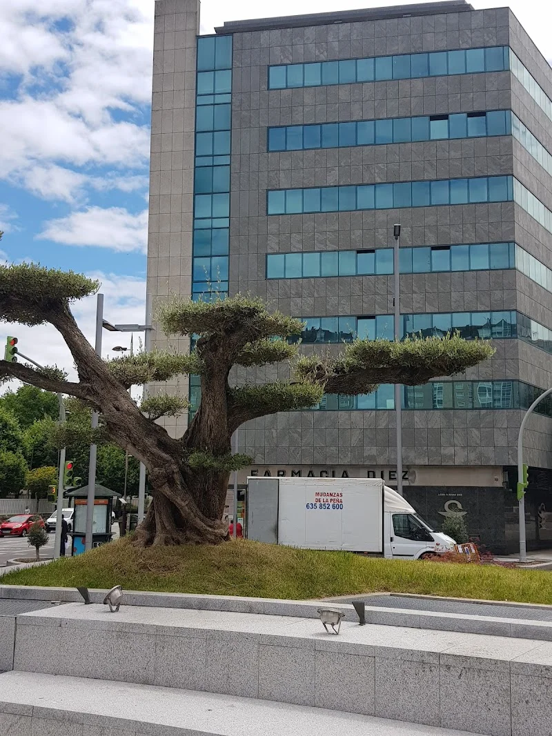 Mudanzas de la Peña en Rua, Camiño da Barciela, n° 34, Coia, 36209 Vigo, Pontevedra, España - Imagen 5