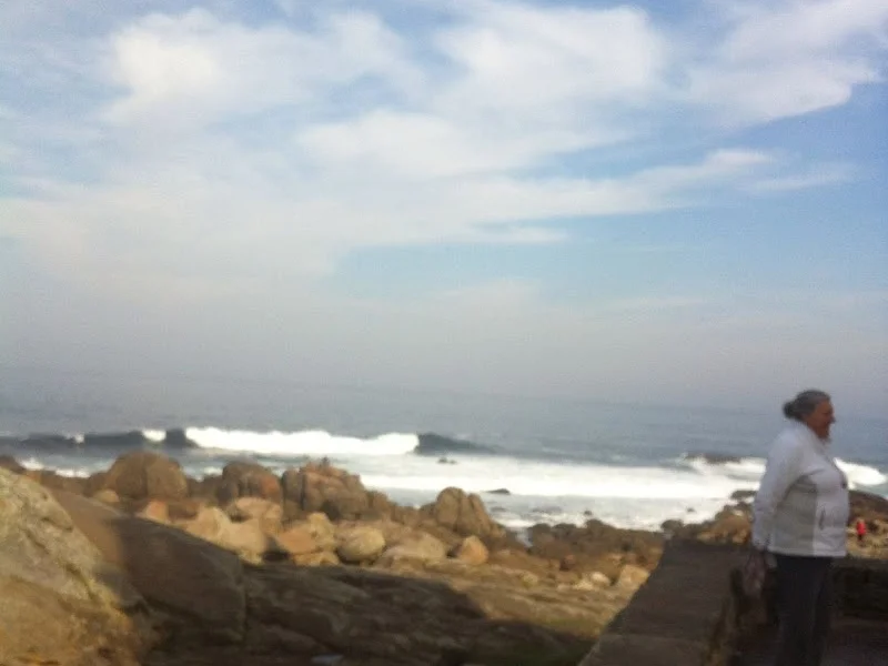 Guardacity en C. de Faustino Osorio, 17 bis, Latina, 28047 Madrid, España - Imagen 1