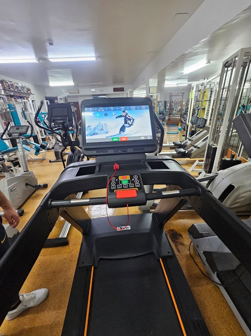 MUDANZAS en Vigo Vacios de pisos Mudanzas Mariano en Baixada á Salgueira, 33, Sárdoma, 36204 Vigo, Pontevedra, España - Imagen 2