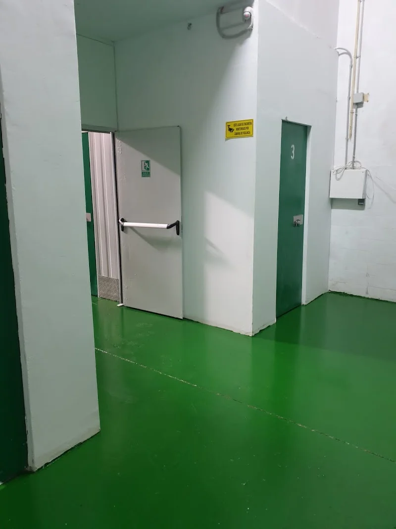 TRASTEROS VITORIA, S.L. en Gamarrako Atea, 50, 01013 Vitoria-Gasteiz, Araba, España - Imagen 2