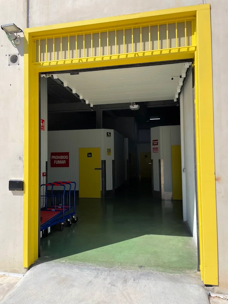 trasteros La Nave Elche 24 h. en Parque Empresarial, C. Torres y Villarroel, 8, 03203 Elche, Alicante, España - Imagen 4