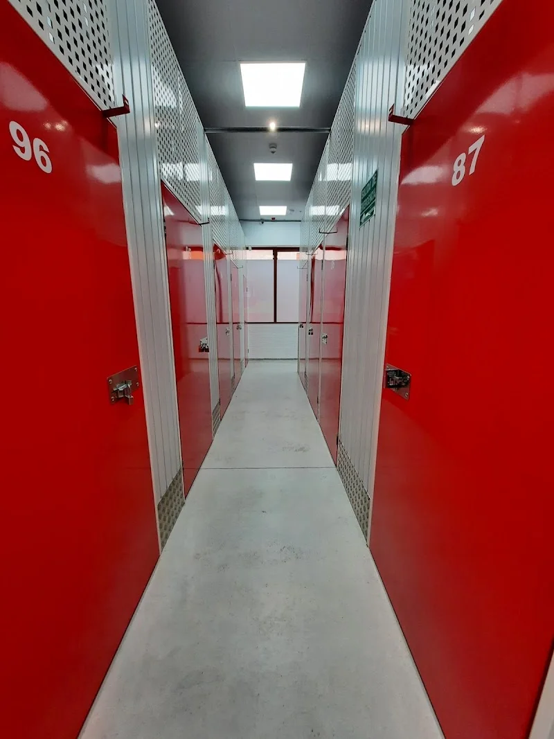 TRASTEROS ELCHE en Carrer Fra Pere Balaguer, 03202 Elx, Alicante, España - Imagen 2