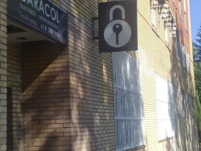 TRASTEROS CARACOL en Avenida de la Institución Libre de Enseñanza, CALLE HNOS. GARCÍA NOBLEJAS, 158, Posterior, Cdad. Lineal, 28037 Madrid, España - Imagen 1