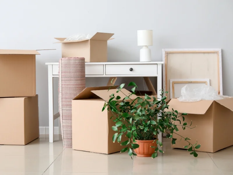 ATV Trasteros Alcobendas en Calle de Sta. Isabel, 15, 28108 Alcobendas, Madrid, España - Imagen 4