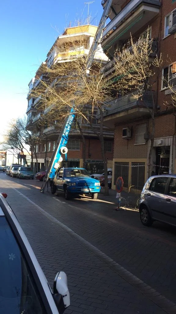 Mudanzas Lorca en Av. de los Carabancheles, 30, 28921 Alcorcón, Madrid, España - Imagen 5