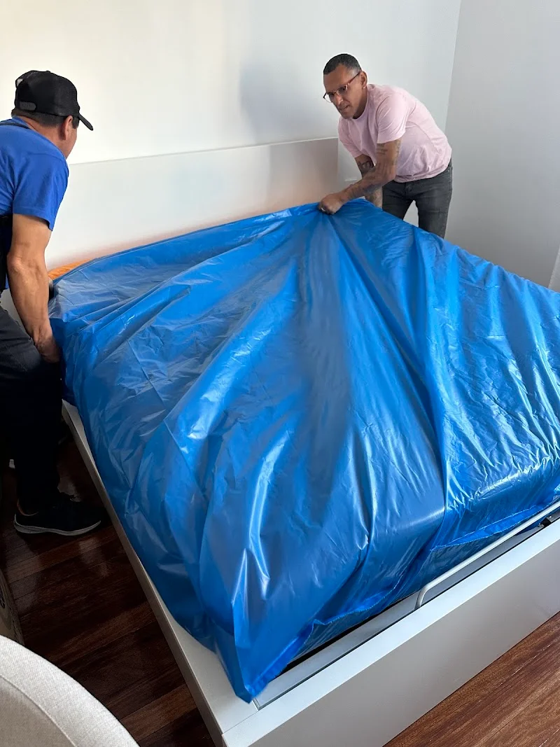 Mudanzas Domus Mundi en C. Cemento, 7, 28850 Torrejón de Ardoz, Madrid, España - Imagen 2