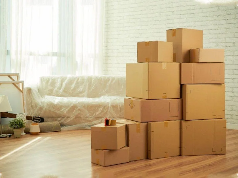 Mudanzas Alcobendas en C. de Luis Rodríguez Ontiveros, 39, 28100 Alcobendas, Madrid, España - Imagen 4