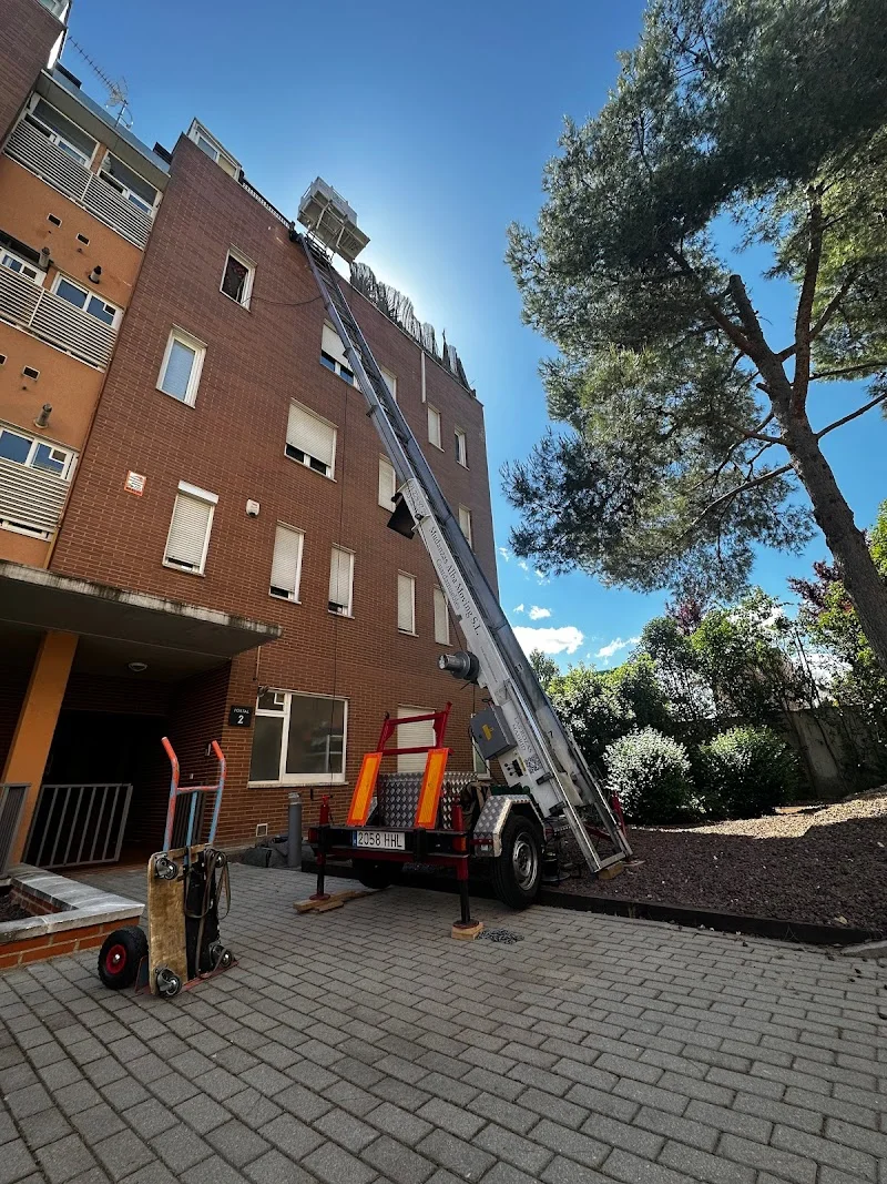 Mudanzas Alba Moving SL en C. de la Escalonia, 15, 28231 Las Rozas de Madrid, Madrid, España - Imagen 5