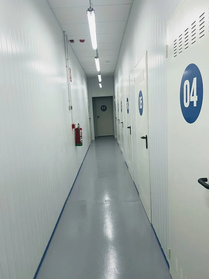 𝐓𝐫𝐚𝐬𝐭𝐞𝐫𝐨𝐬 𝐞𝐧 𝐒𝐞𝐯𝐢𝐥𝐥𝐚 - alquiler de guardamuebles en C. Lope de Vega, 7, 41003 Sevilla, España - Imagen 1